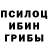 Псилоцибиновые грибы мицелий MiniKing