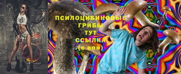 бошки Саяногорск