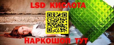 СК Волгодонск