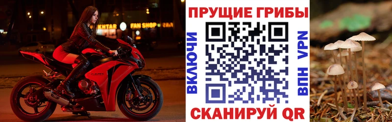 закладка  Грязи  Галлюциногенные грибы MAGIC MUSHROOMS 